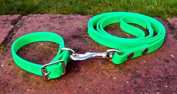 Small BETA® Light Green Dog Collar-0