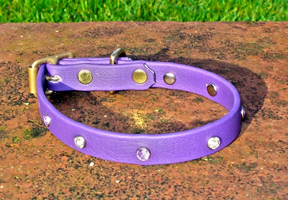 Extra Small BETA® Purple Dog Collar With Clear Rhinestones-0