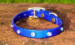 Extra Small Translucent Dark Blue Dog Collar With Blue Rhinestones-0