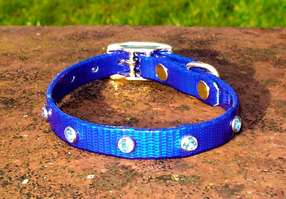 Extra Small Translucent Dark Blue Dog Collar With Blue Rhinestones-0