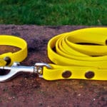 Small BETA® Yellow Dog Collar-0