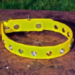 Small BETA® Yellow Dog Collar With Clear, Green And Amber Rhinestones-0