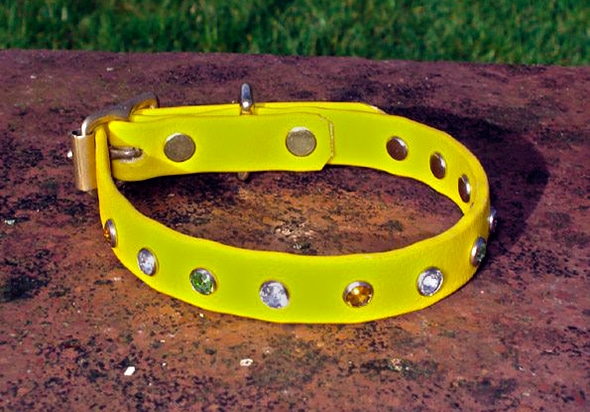Small BETA® Yellow Dog Collar With Clear, Green And Amber Rhinestones-0