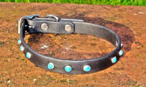 Small BETA® Black Dog Collar With Small Turquoise Rivets-0
