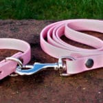 Small BETA® Pink Dog Collar-0