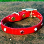 Extra Small Translucent Red Dog Collar With Red and White Rhinestones-0