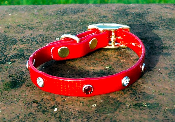 Extra Small Translucent Red Dog Collar With Red and White Rhinestones-0