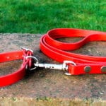 Small BETA® Red Dog Collar-0
