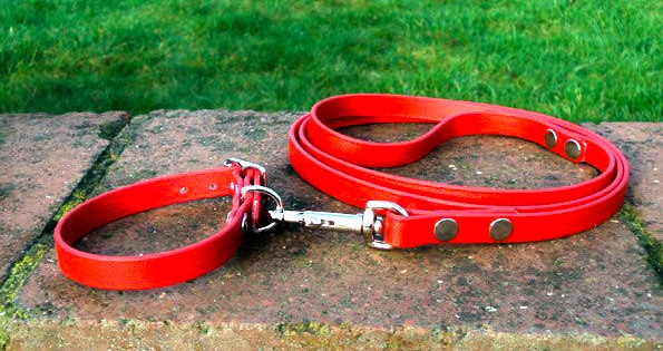 Small BETA® Red Dog Collar-0