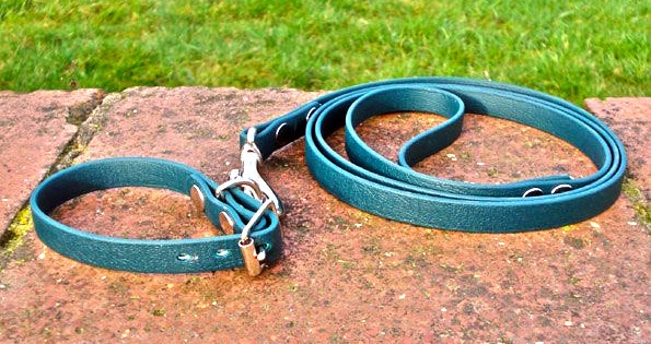 Small BETA® Green Dog Collar-0