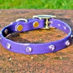Extra Small BETA® Purple Dog Collar With Purple Rhinestones-0
