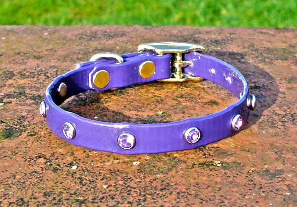 Extra Small BETA® Purple Dog Collar With Purple Rhinestones-0