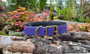 Wide/Lurcher Dog Collar