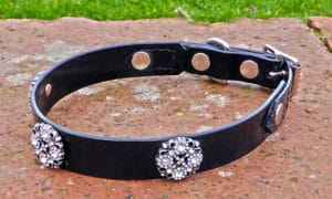 Small BETA® Black Dog Collar With Starlight Conchos-0