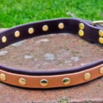 Large BETA® Brown Dog Collar with Tan Overlay-0