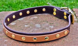Large BETA® Brown Dog Collar with Tan Overlay-0