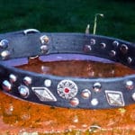 Large BETA® Black Dog Collar With Mixed Conchos-0