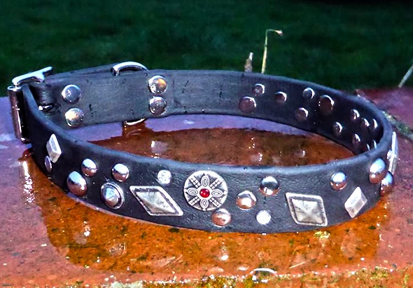 Large BETA® Black Dog Collar With Mixed Conchos-0