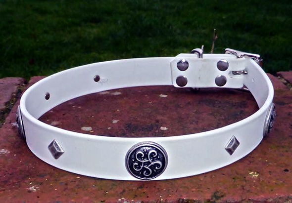 Large BETA® White Dog Collar With Antique Silver Celtic Conchos-0