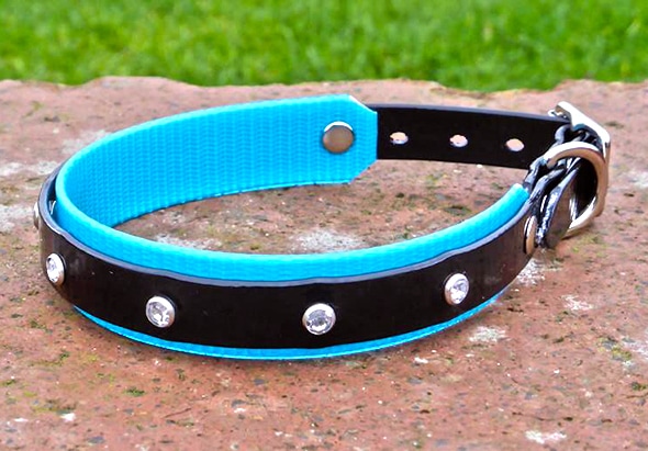 Small BETA® Black Dog Collar With Turquoise Underlay-0