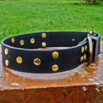 Extra Wide BETA® Black Dog Collar With Rivets-0