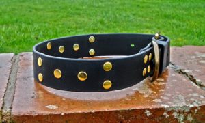 Ready Made Extra Wide Dog Collars