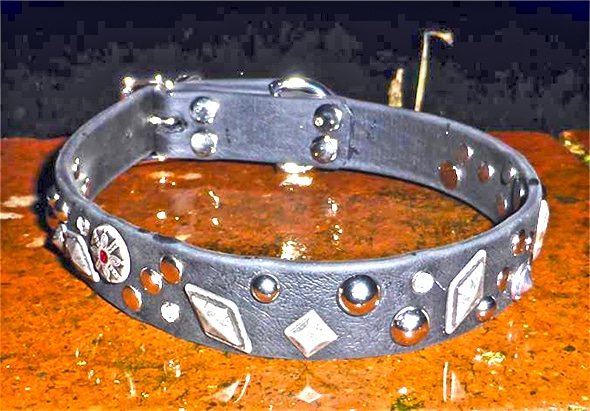 Large BETA® Black Dog Collar With Mixed Conchos-771