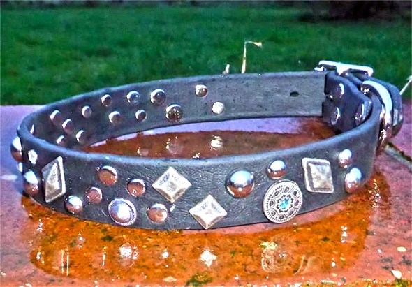 Large BETA® Black Dog Collar With Mixed Conchos-772