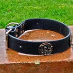 Extra Wide BETA® Black Dog Collar With Round Horse Conchos-0
