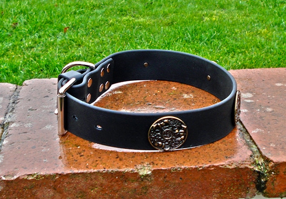 Extra Wide BETA® Black Dog Collar With Round Horse Conchos-0