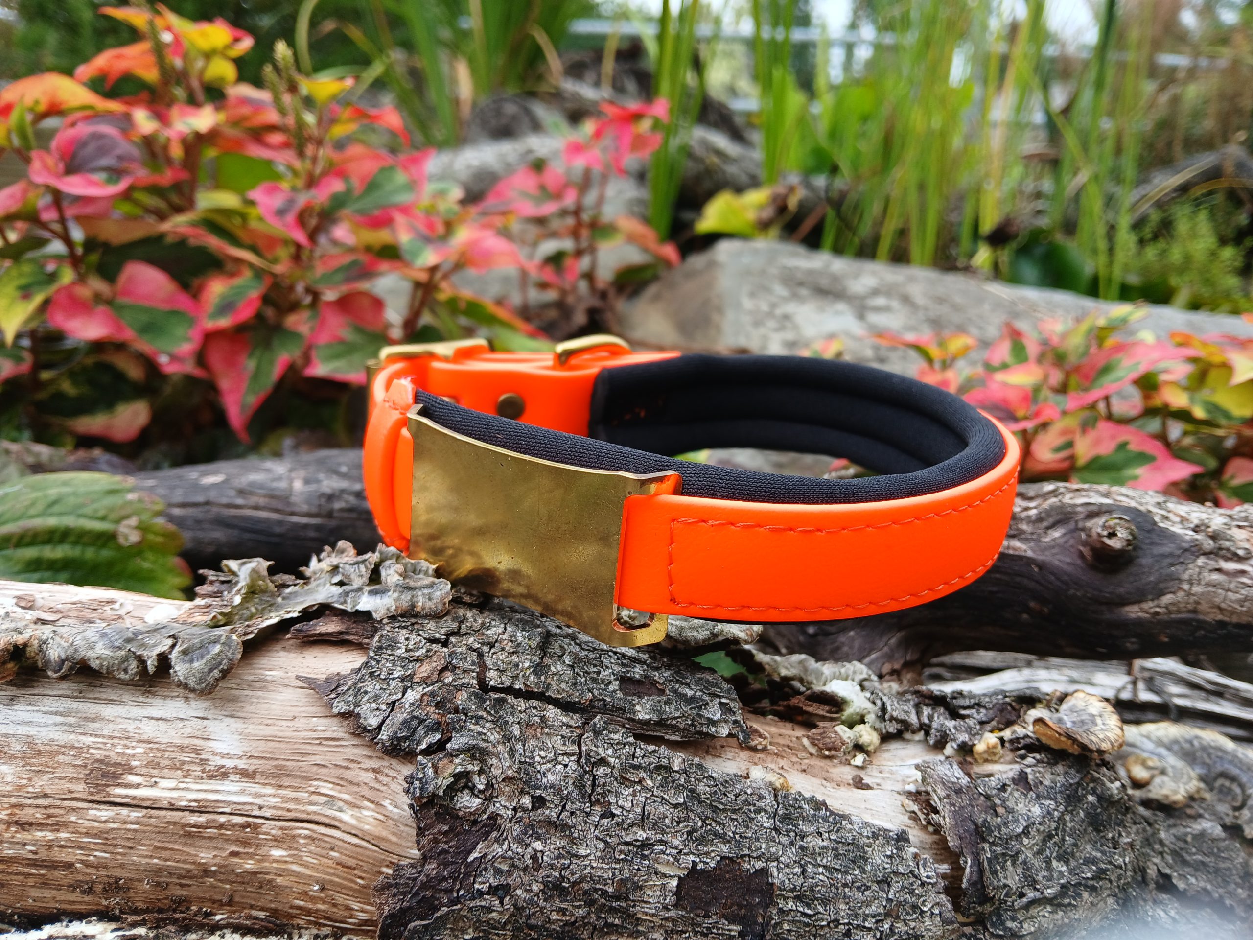 Agility Dog Collar