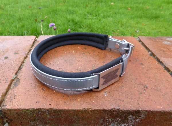 Agility Dog Collar-1350