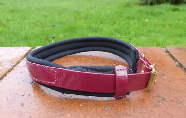 Agility Dog Collar-1351
