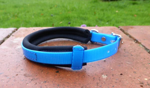Agility Dog Collar-1355