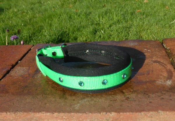 Padded Bling Agility Dog Collar-1337