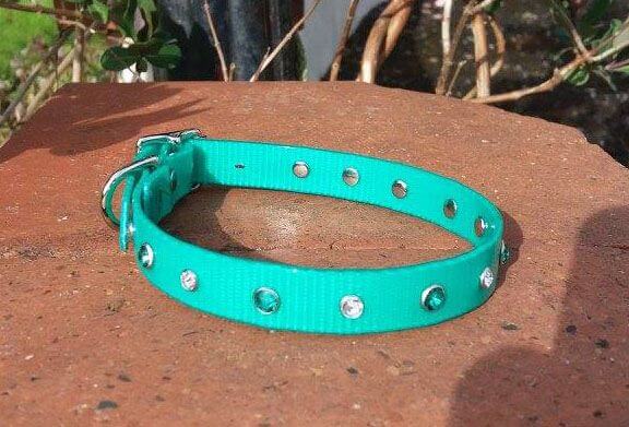 Bling Dog Collar-1516