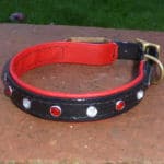 Duo Bling Dog Collar-1476