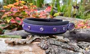 Padded Bling Dog Collar