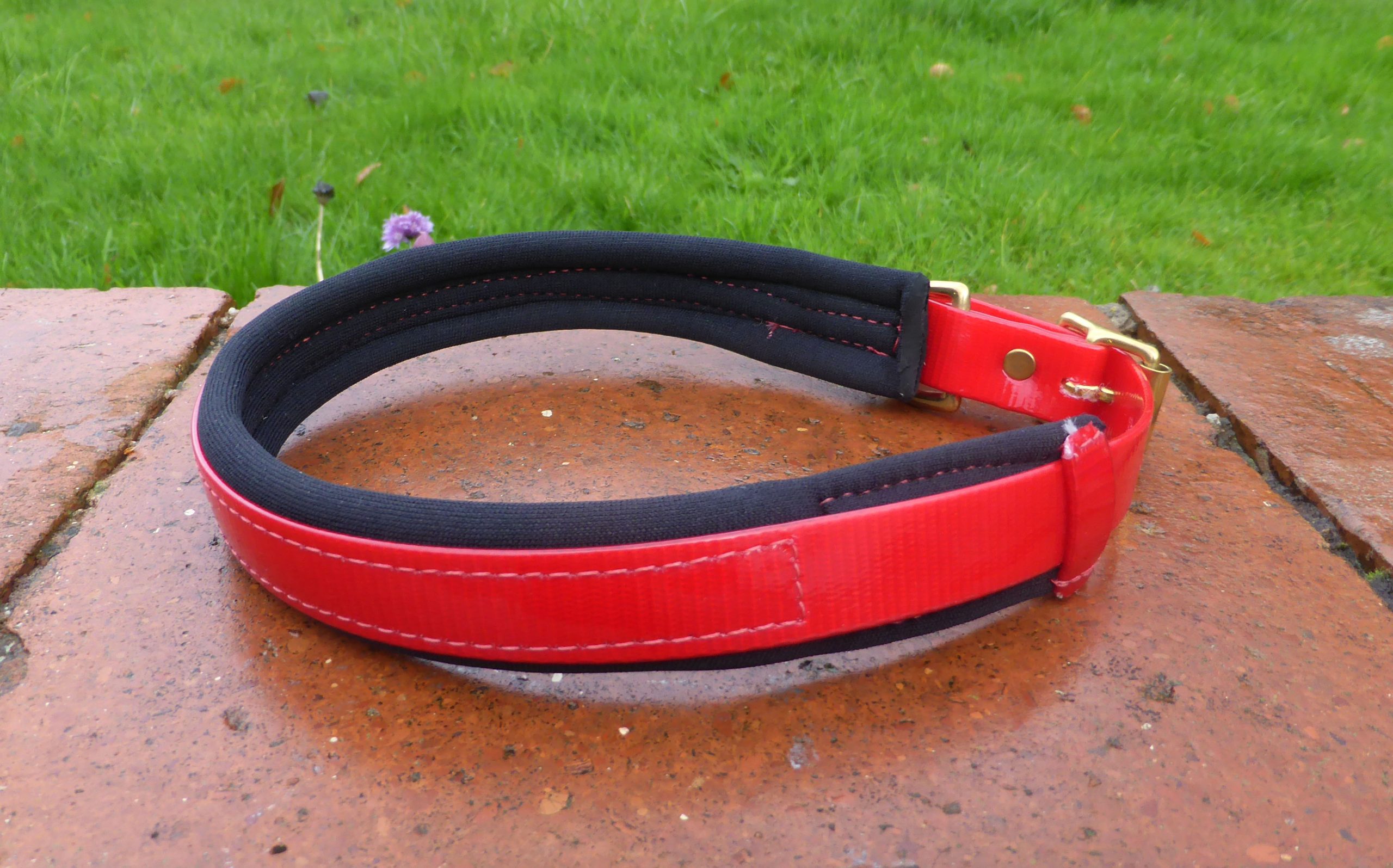 Agility Dog Collar - Image 8