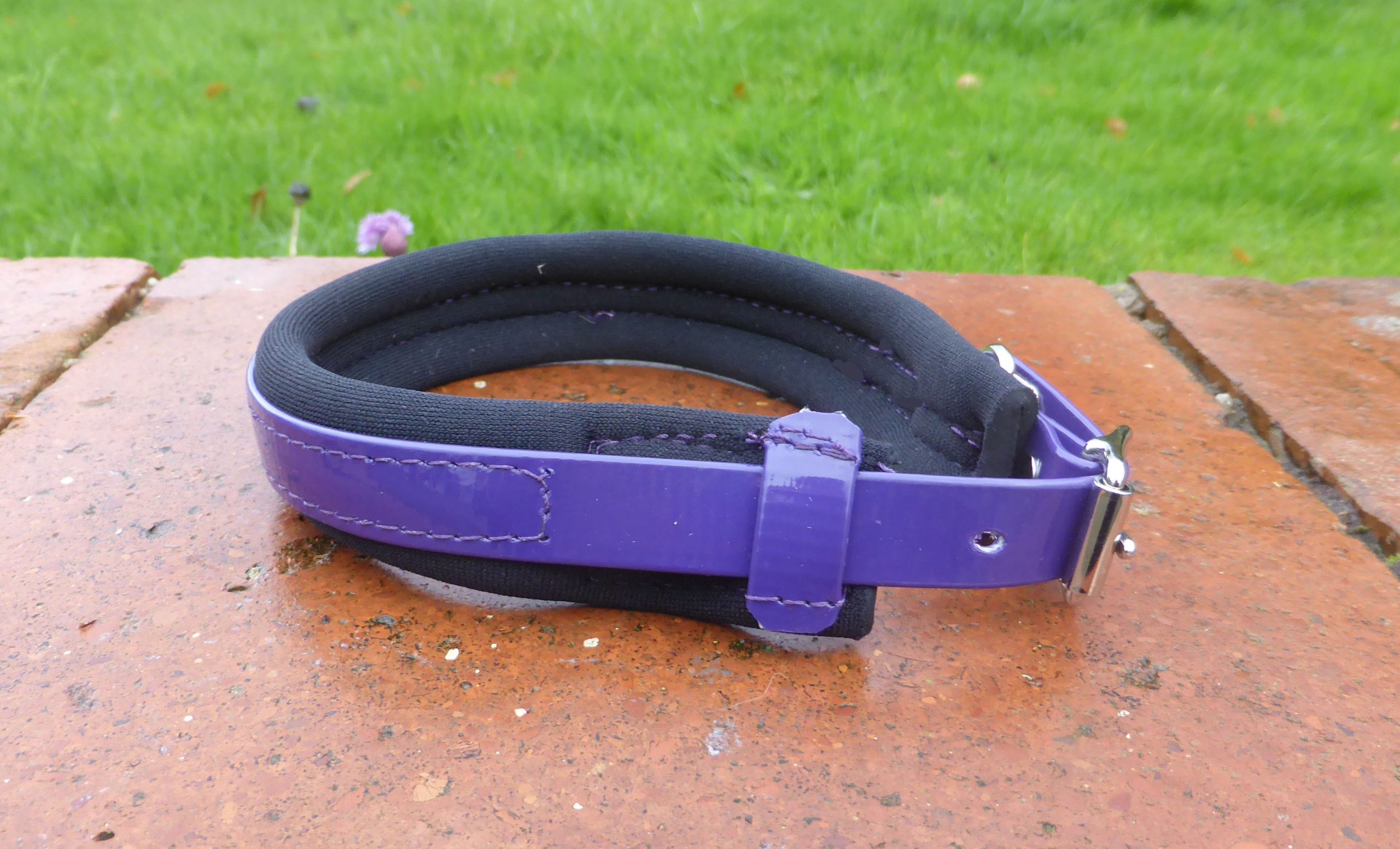 Agility Dog Collar - Image 7