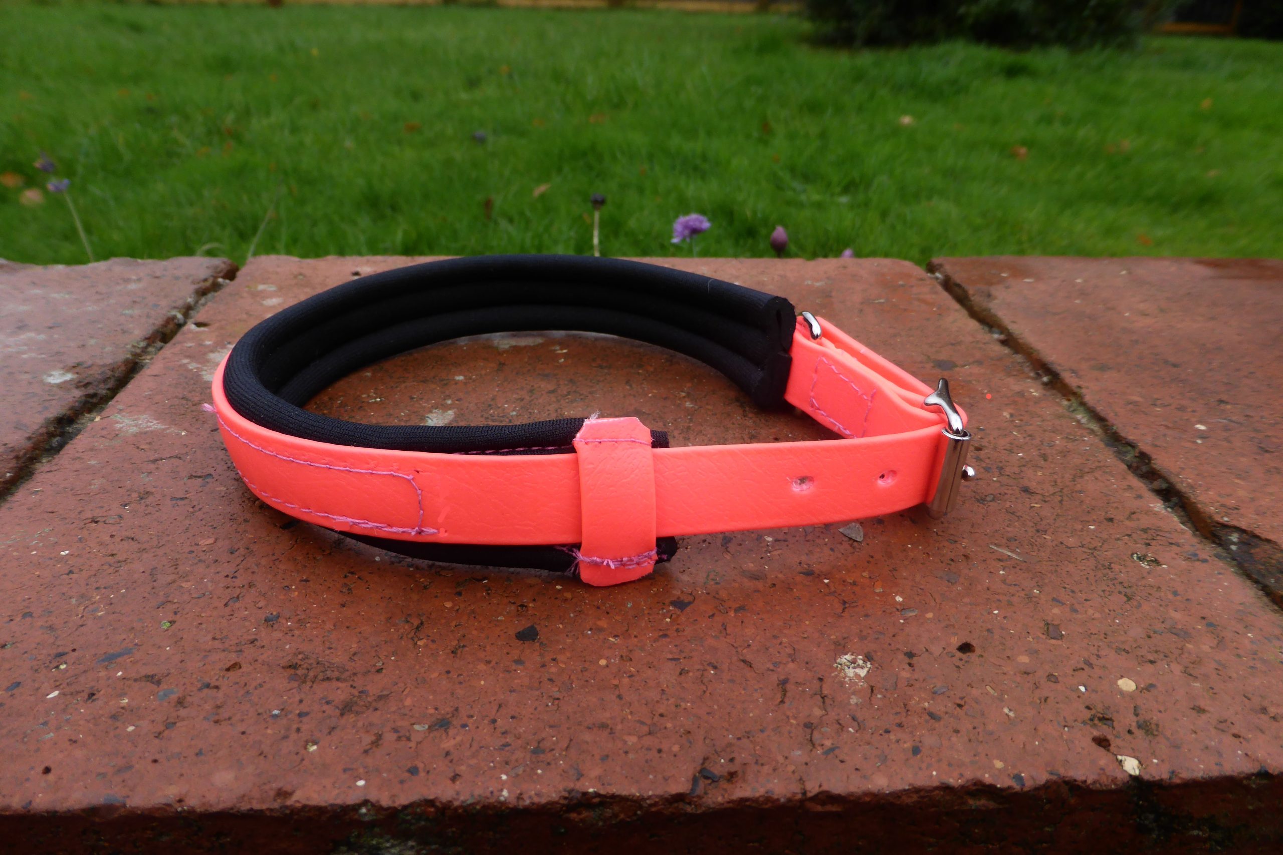 Agility Dog Collar - Image 3
