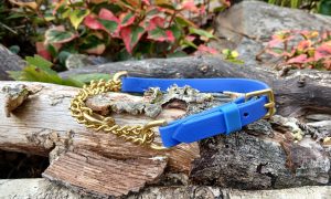 Half Check Dog Collar